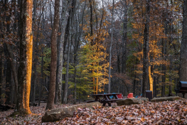 Bethel Ridge Retreat - Hocking Hills - Old Man's Cave - Ohio