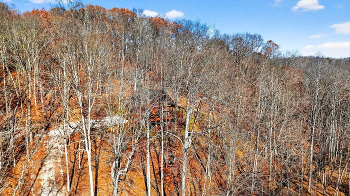 Shagbark-Hickory-Ridge-2