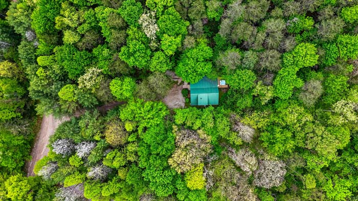 Rustic cabin retreat surrounded by trees